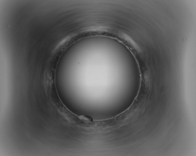 X0000114061064200910131141