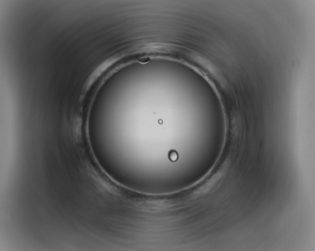 X0000114061066200910131141