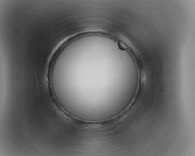 X0000114061068200910131141