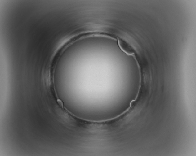 X0000114061069200910131141