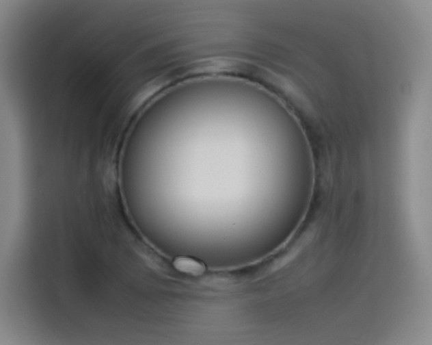 X0000114061073200910131141