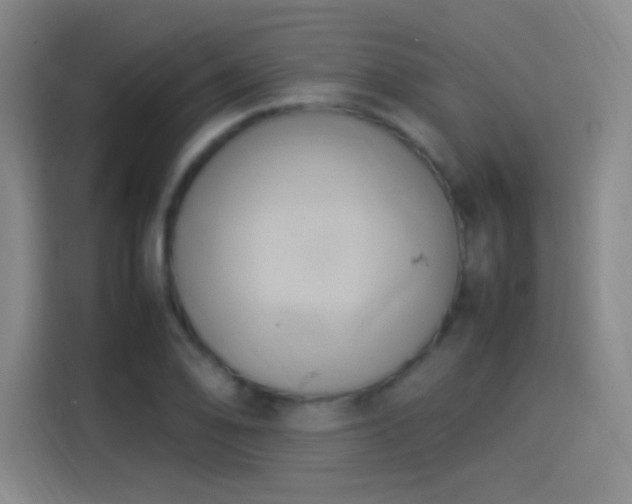 X0000114061078200910131141