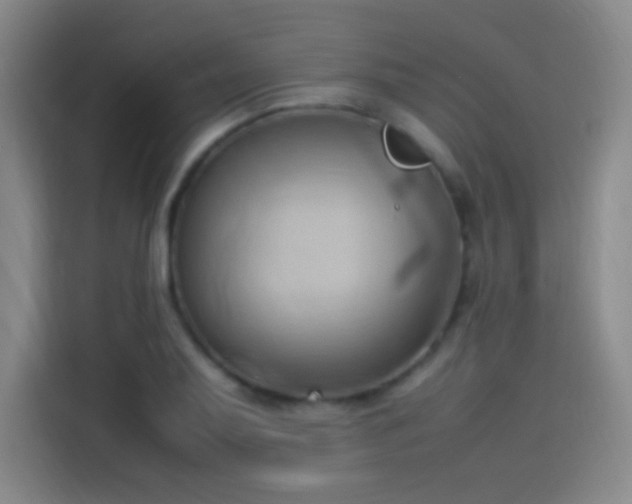 X0000114061079200910131141