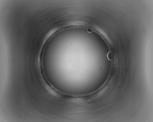 X0000114061082200910131141