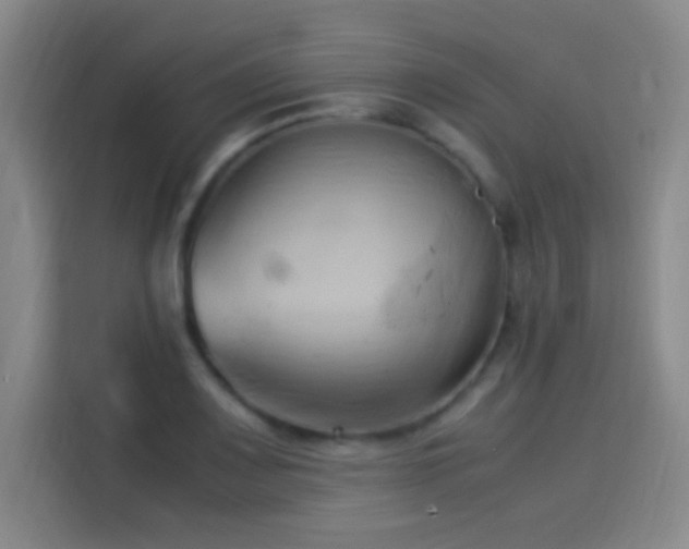 X0000114061083200910131141