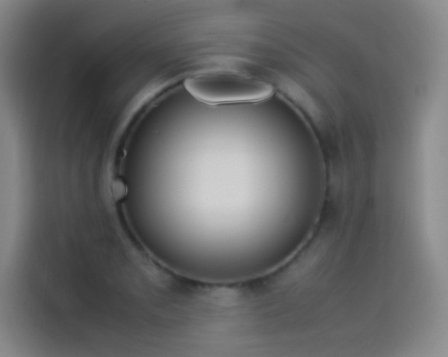 X0000114061085200910131141