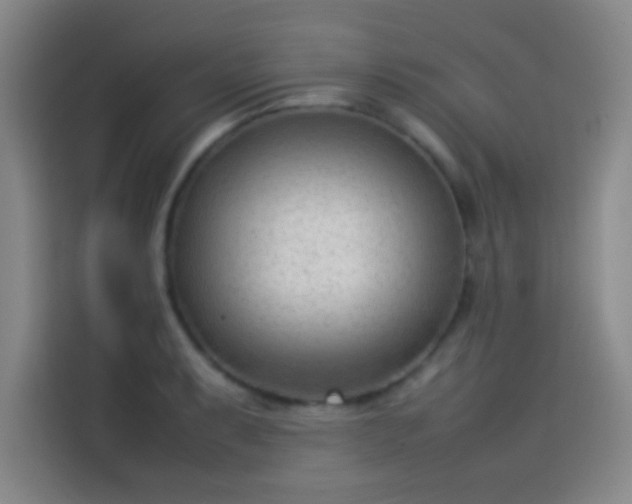 X0000114061087200910131141