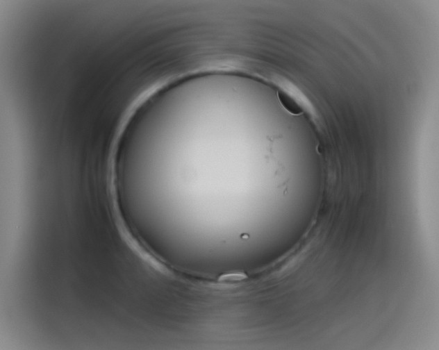 X0000114061088200910131141