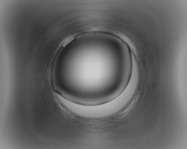 X0000114061089200910131141