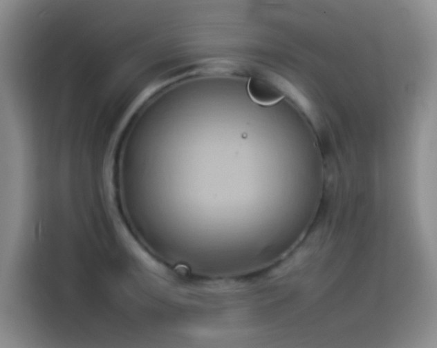 X0000114061091200910131141