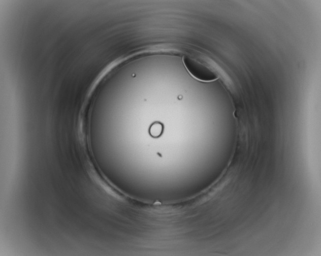 X0000114061092200910131141