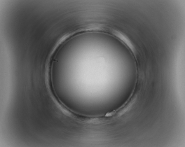 X0000114061093200910131141