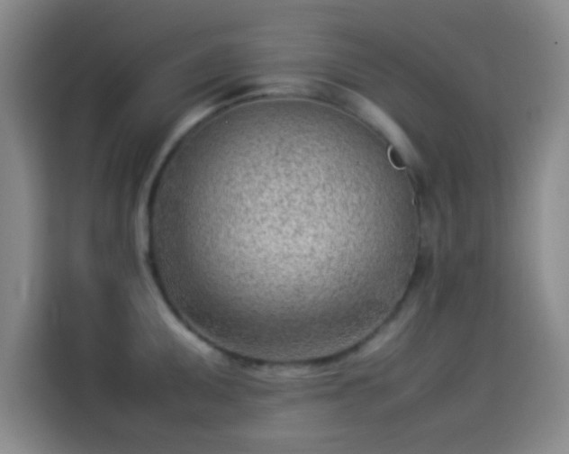 X0000114061095200910131140