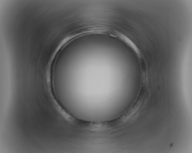 X0000114061099200910131140