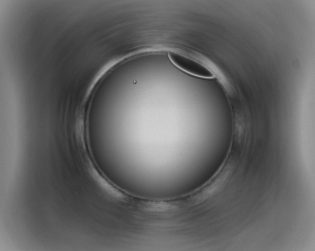 X0000114061100200910131140