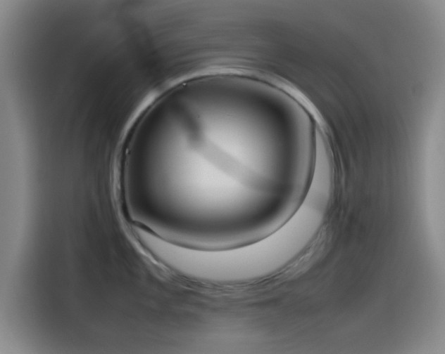 X0000114061101200910131140