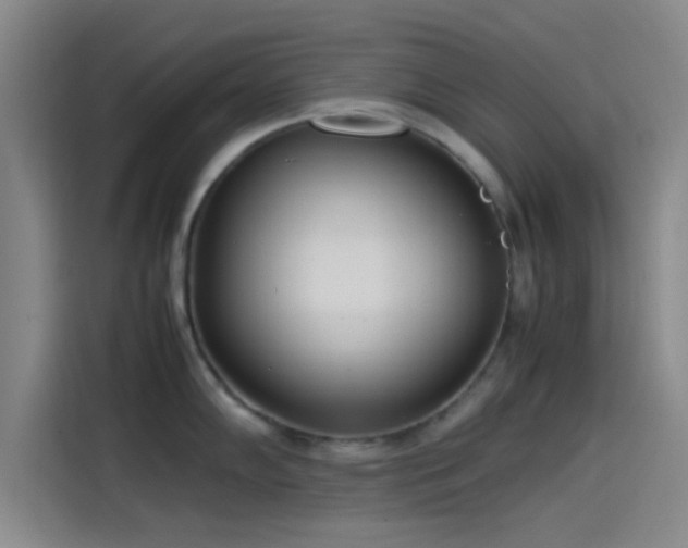 X0000114061102200910131140