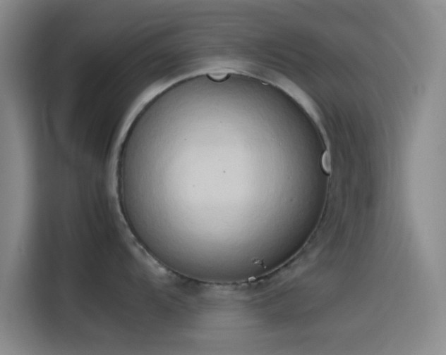 X0000114061104200910131140