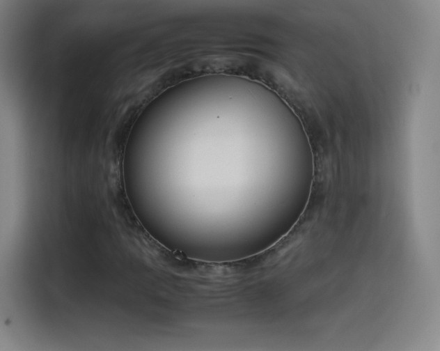 X0000114061109200910131140