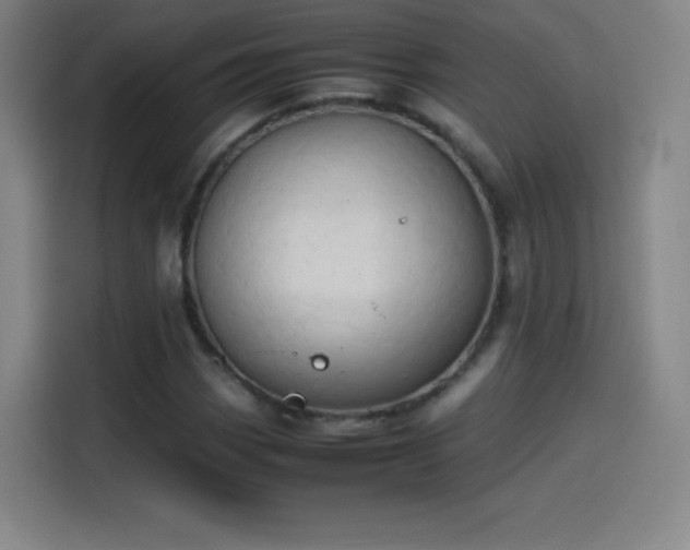 X0000114061113200910131140