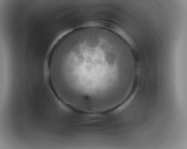 X0000114061117200910131140