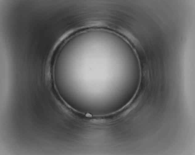 X0000114061118200910131140