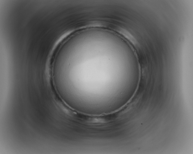 X0000114061119200910131140