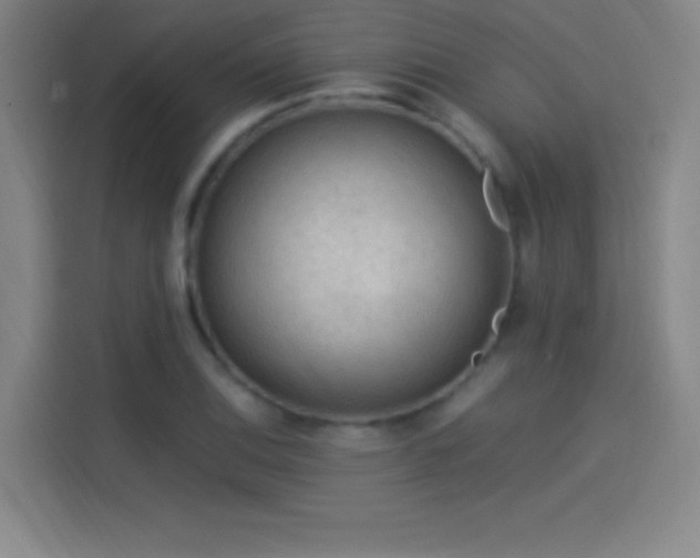 X0000114061124200910131140