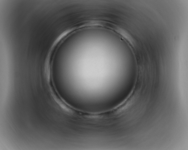 X0000114061127200910131140