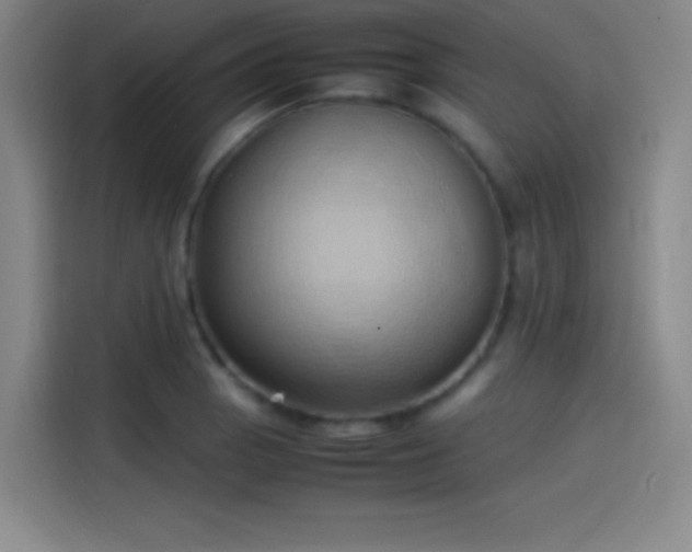 X0000114061129200910131140