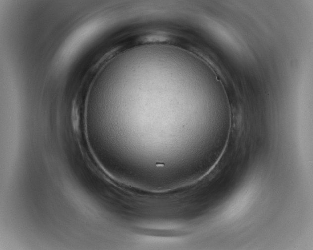 X0000114061151200910131140