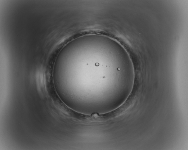 X0000114061159200910131140