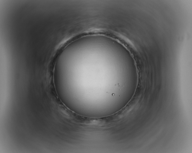 X0000114061160200910131140