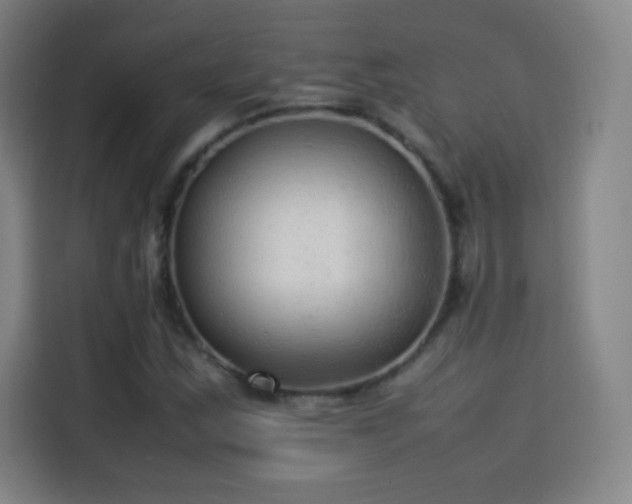 X0000114061163200910131140