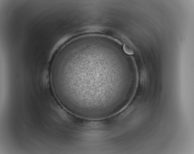 X0000114061164200910131140