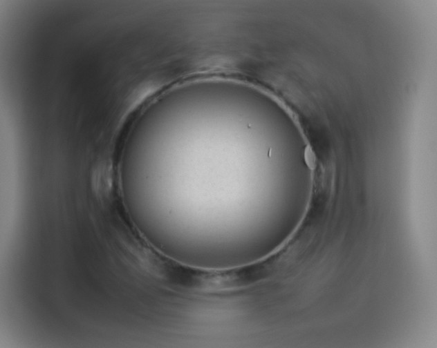 X0000114061165200910131140