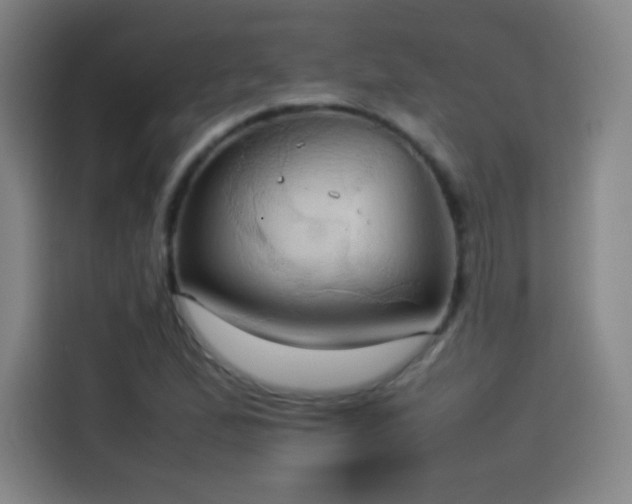 X0000114061167200910131140