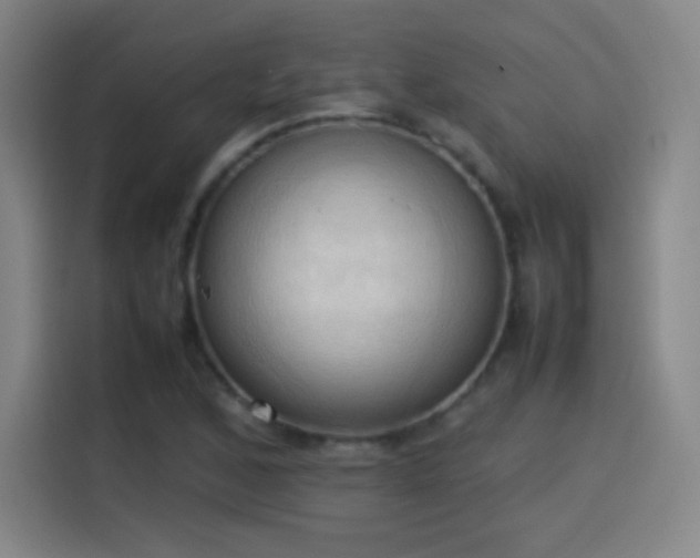 X0000114061168200910131140