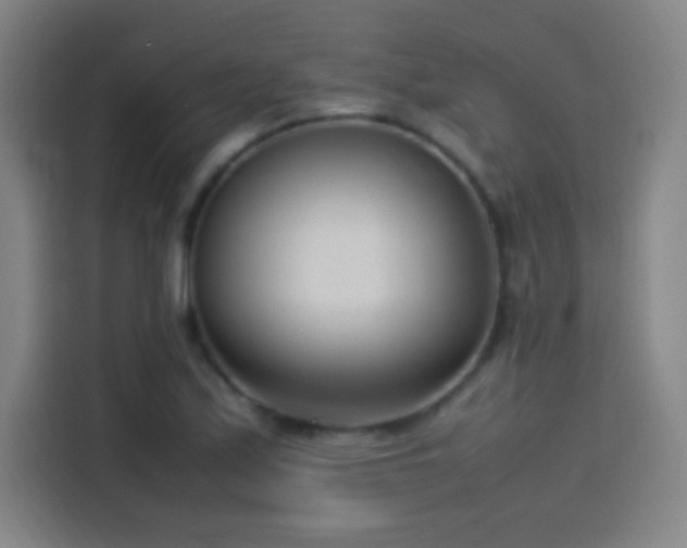 X0000114061171200910131139