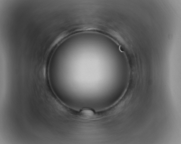 X0000114061173200910131139