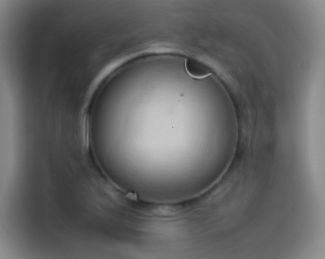 X0000114061175200910131139