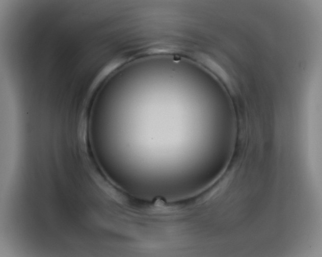 X0000114061179200910131139