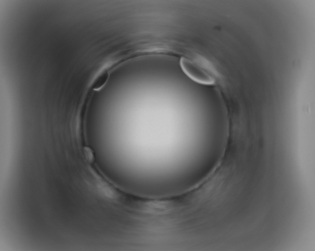 X0000114061181200910131139