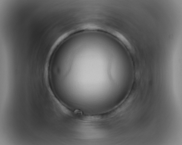 X0000114061183200910131139