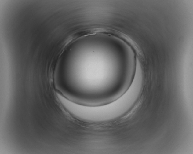 X0000114061185200910131139