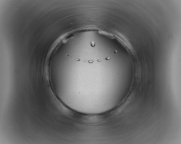 X0000114061188200910131139