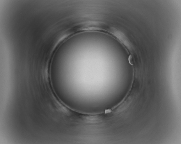 X0000114061189200910131139