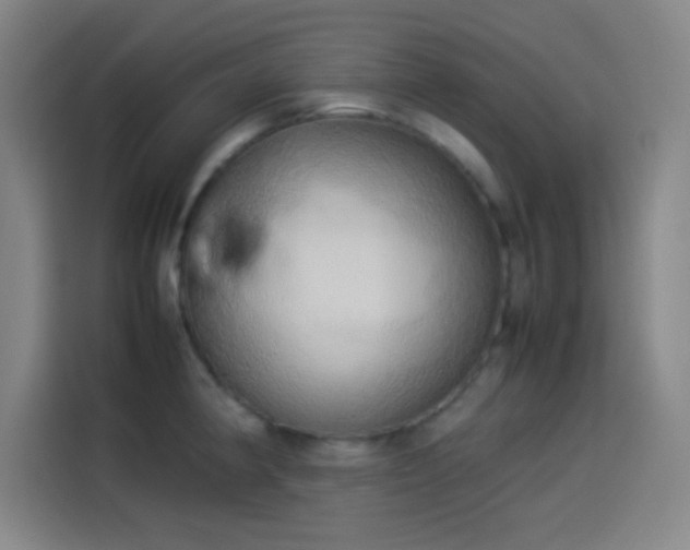 X0000114061190200910131139