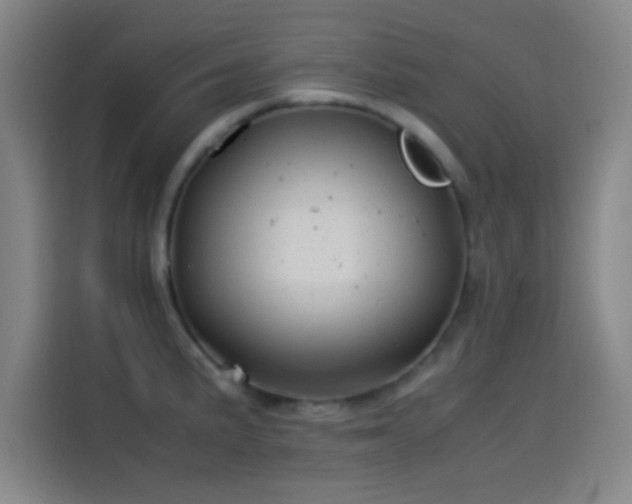 X0000114061191200910131139