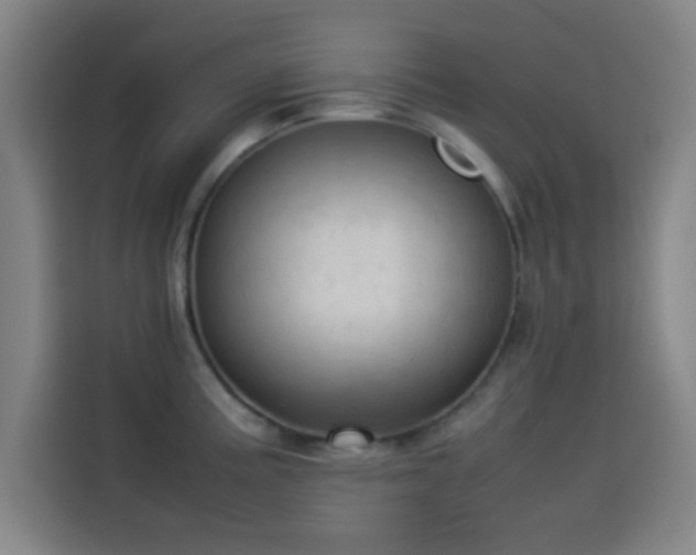 X0000114061195200910131139